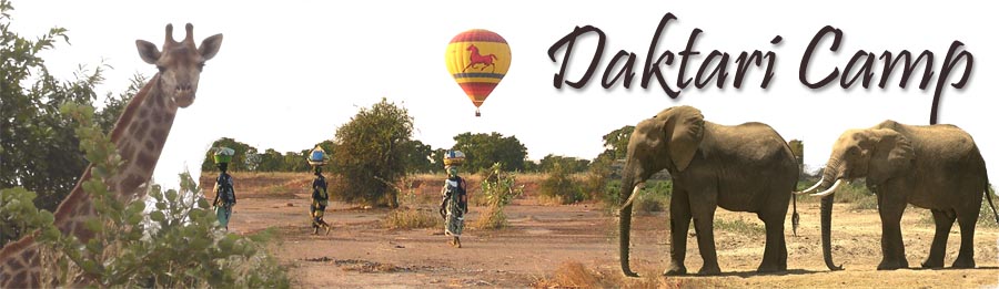 accueil Daktari Camp